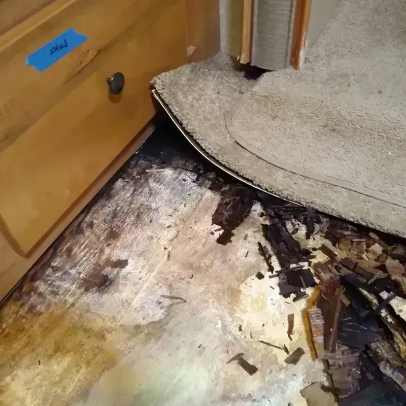 Wood Floor Water Damage in Stevens County, WA